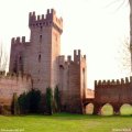 La Rocca Degli Alberi